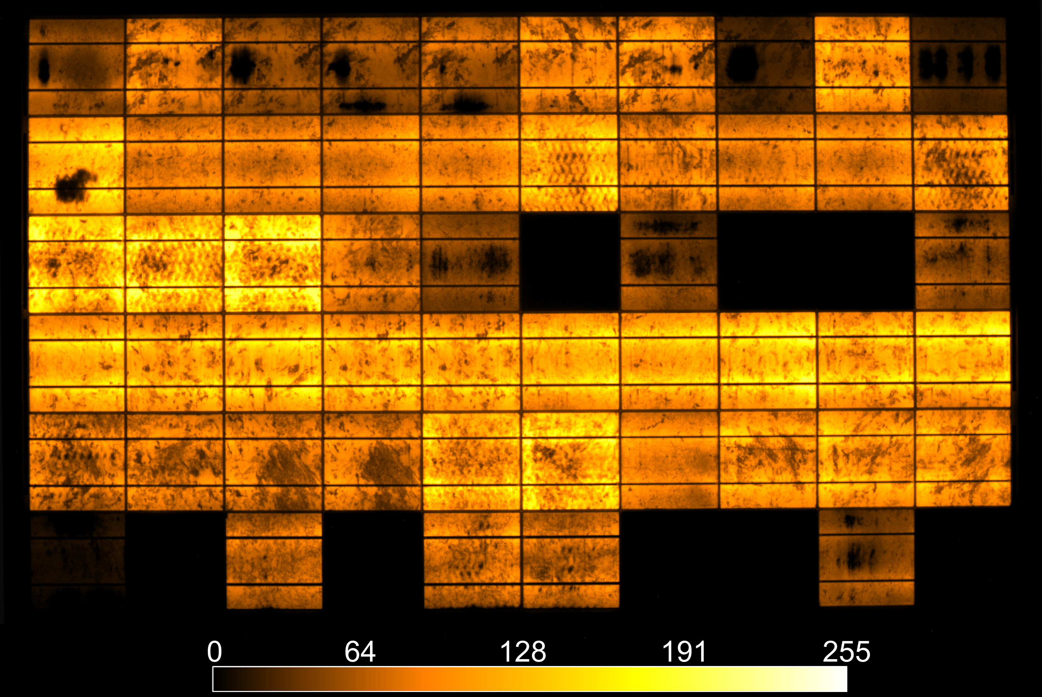 electroluminescence image shows PID defect