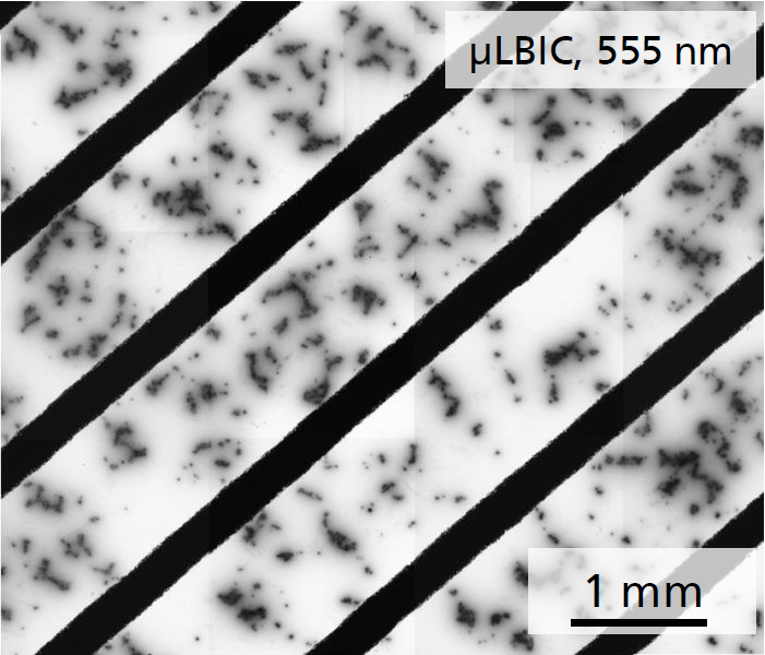 Microscopic light beam induced current (µLBIC) image 