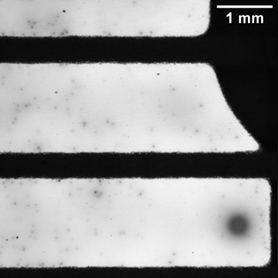 Bifacial PERC solar cell